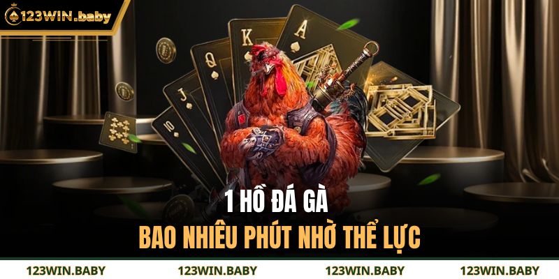 1 hồ đá gà bao nhiêu phút nhờ thể lực
