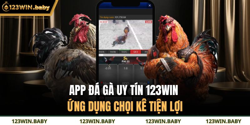App Đá Gà Uy Tín 123WIN