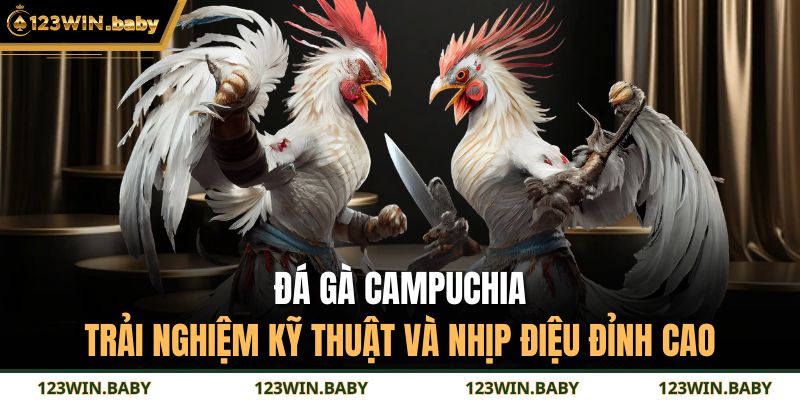 đá gà Campuchia