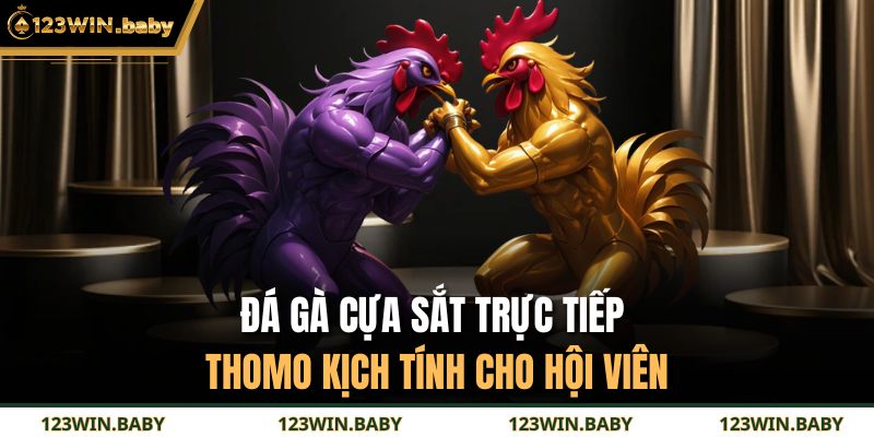 Đá Gà Cựa Sắt Trực Tiếp Thomo
