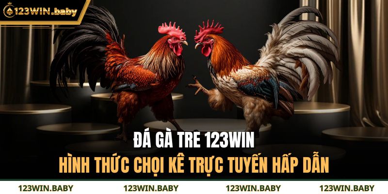 Đá Gà Tre 123WIN