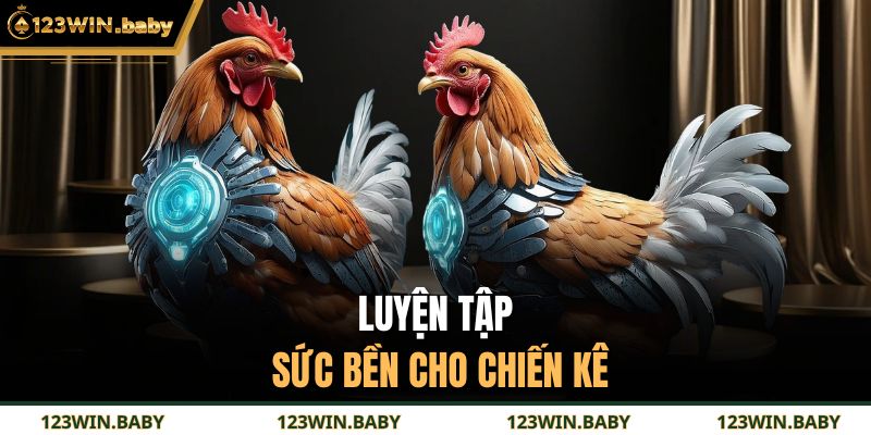 Luyện tập sức bền cho chiến kê