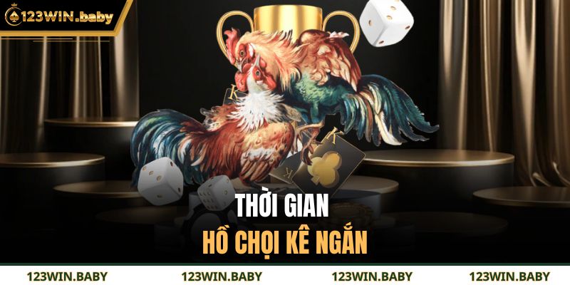 Thời gian hồ chọi kê ngắn