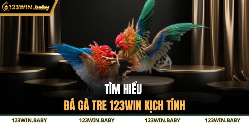 Tìm hiểu đá gà tre 123WIN kịch tính